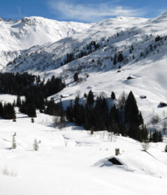 Vivre la magie de l'hiver : idées de séjours à la neige en famille