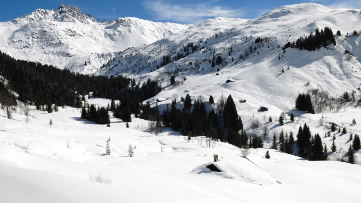 Vivre la magie de l'hiver : idées de séjours à la neige en famille